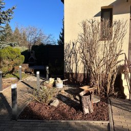 Sobolinhooo - Ogród po zimie: przycięte krzewy przy budynku, kora rozsypana na rabacie, oświetlenie ścieżki. Przygotowania do wiosny w słoneczny dzień.