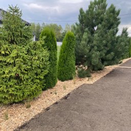 Przycinanie drzew Tarnów 1