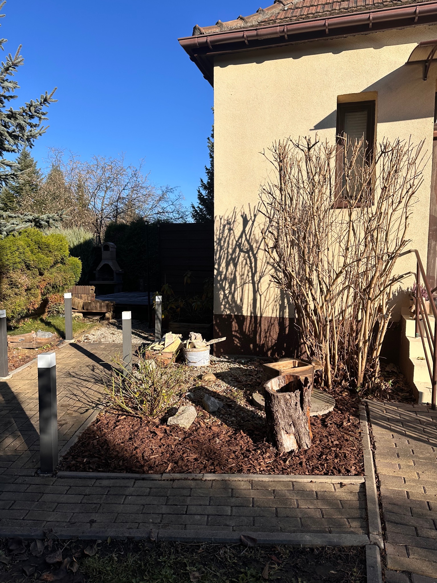 Ogród po zimie: przycięte krzewy przy budynku, kora rozsypana na rabacie, oświetlenie ścieżki. Przygotowania do wiosny w słoneczny dzień.