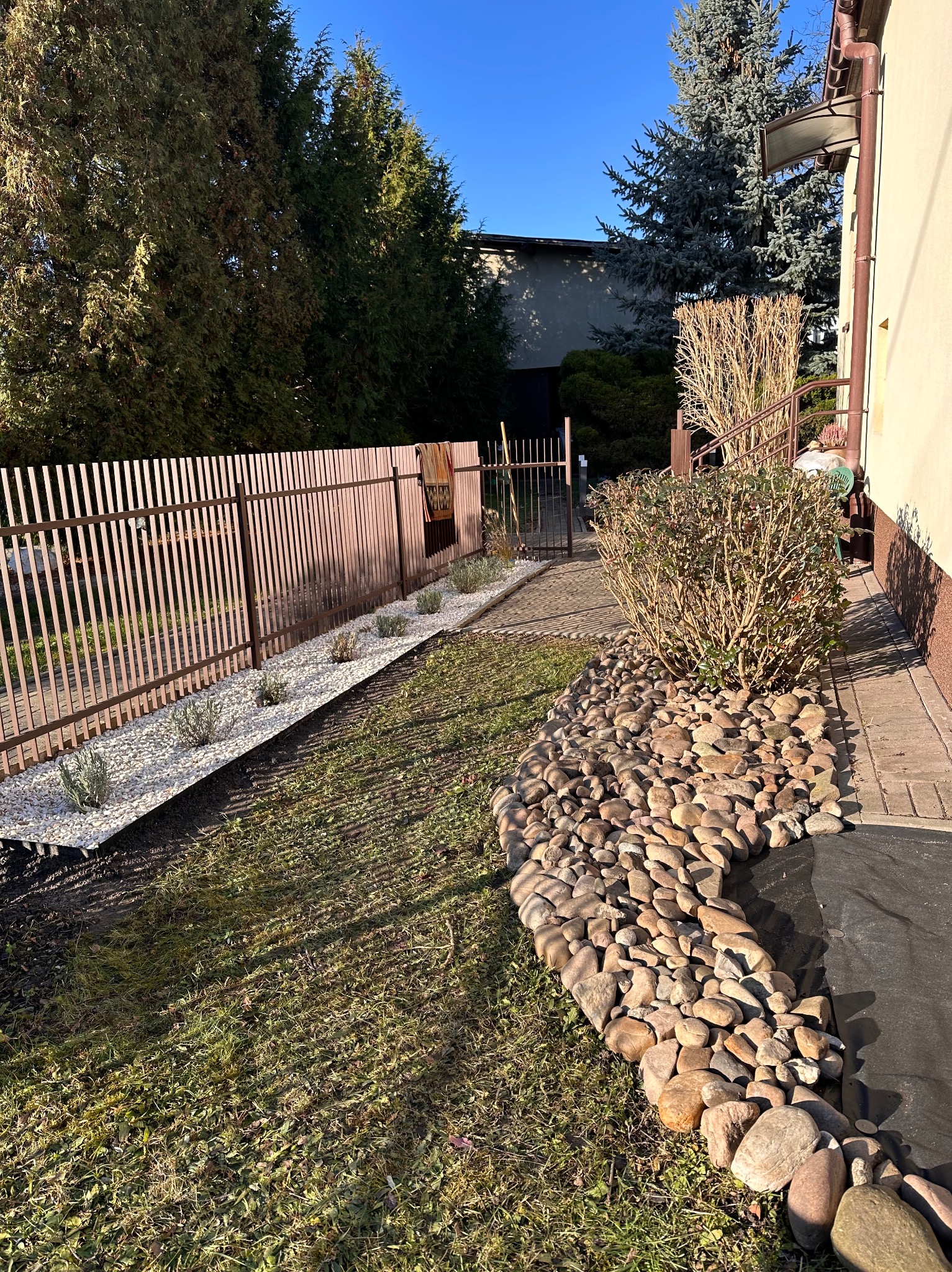 Ogród po pielęgnacji: rabata z kamieniami, biały żwir wzdłuż brązowego ogrodzenia, świeżo posadzone rośliny, trawnik i krzewy. Słoneczny dzień.