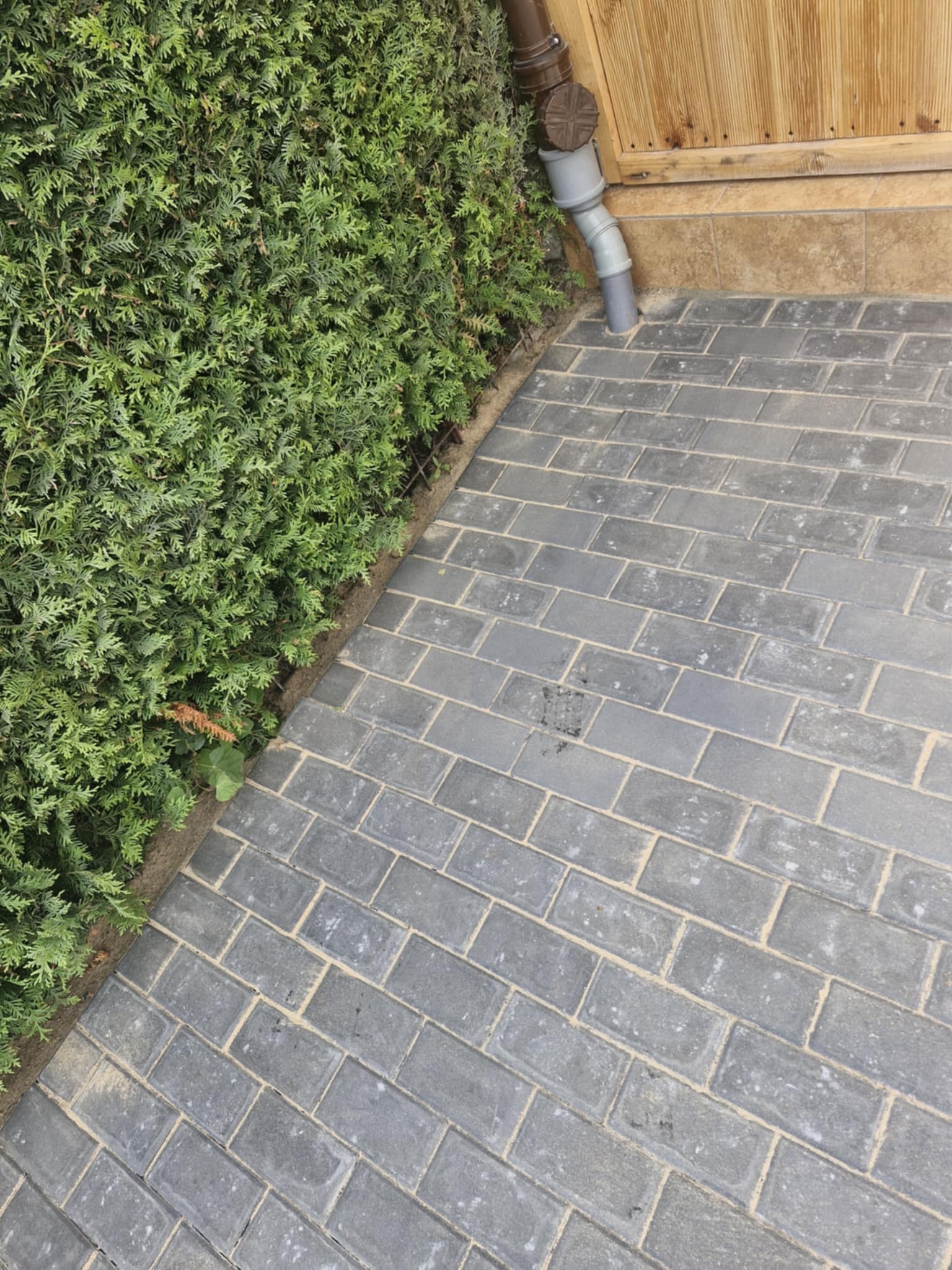 Ułożona szara kostka brukowa sąsiaduje z zielonym żywopłotem i drewnianym elementem budynku z rynną. Widok z góry, ukośny kadr.