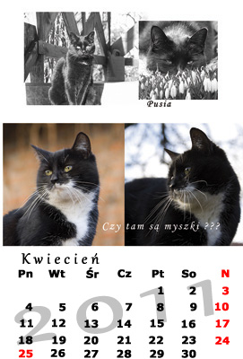 Kalendarz na kwiecień 2012 ze zdjęciami czarno-białych i kolorowych kotów, z podpisami 'Pusia' i 'Czy tam są myszki???'.