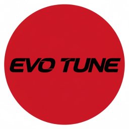 Evo Tune Oborniki Śląskie - Naprawa Samochod&oacute;w Oborniki Śląskie