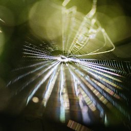 Naturalne oświetlenie, stabilna ręka i brak pająka potrafią sprawić, że zdjęcie wyjdzie magiczne