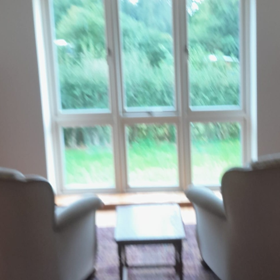 Jasne wnętrze z dużym oknem i widokiem na zieleń. Dwa fotele i stolik kawowy na tle okna. Rozmyte ujęcie dodaje subtelności.