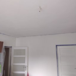 DES TRANSPORT SPÓŁKA Z OGRANICZONĄ ODPOWIEDZIALNOŚCIĄ - gładź i malowanie.