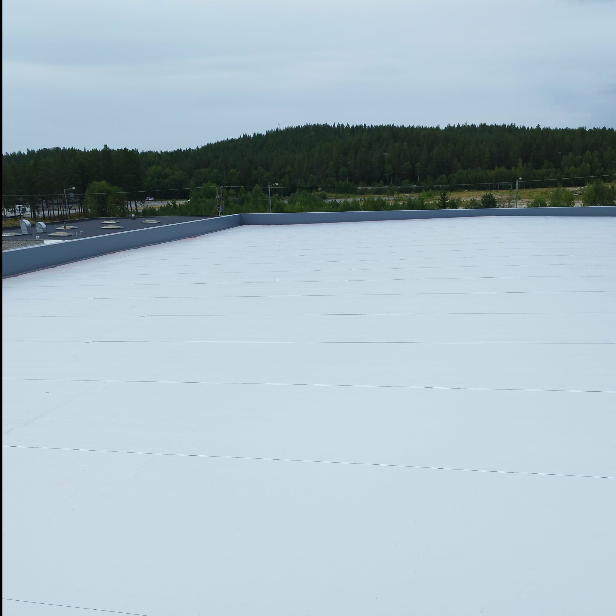Jasny, płaski dach przemysłowy z widocznymi szarymi obróbkami blacharskimi i zielonym lasem w tle, sfotografowany w pochmurny dzień.