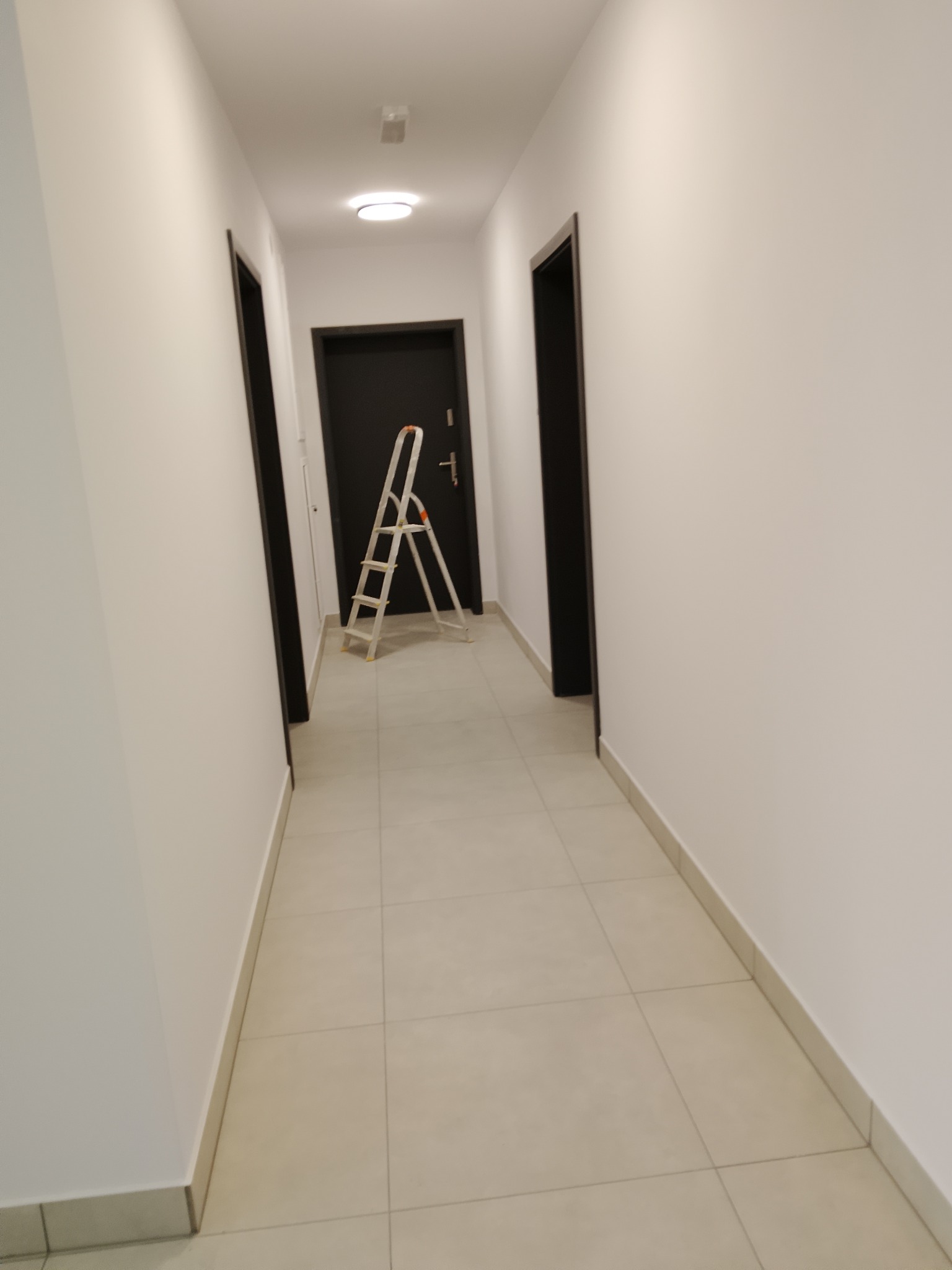 Biały korytarz z ciemnymi drzwiami i rozstawioną drabiną malarską. Świeżo pomalowane ściany i jasna podłoga z płytek. Widok w głąb korytarza.