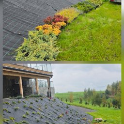 Zakładanie ogrodów Sopotnia Wielka 2