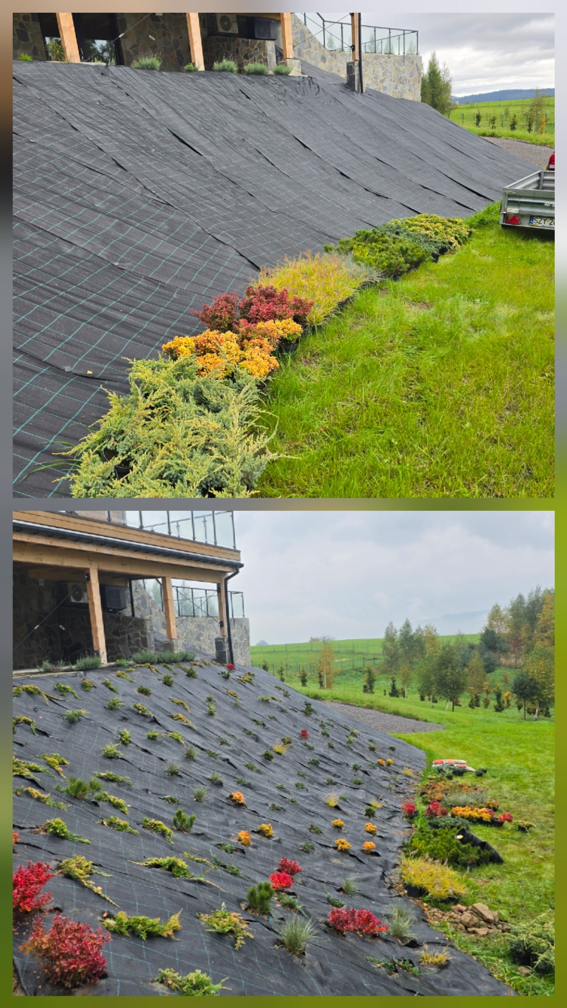 Skarpa zabezpieczona czarną agrowłókniną z nasadzeniami ozdobnych krzewów iglastych i liściastych wzdłuż krawędzi. Widok na dom z kamienną elewacją i zielony krajobraz w tle.