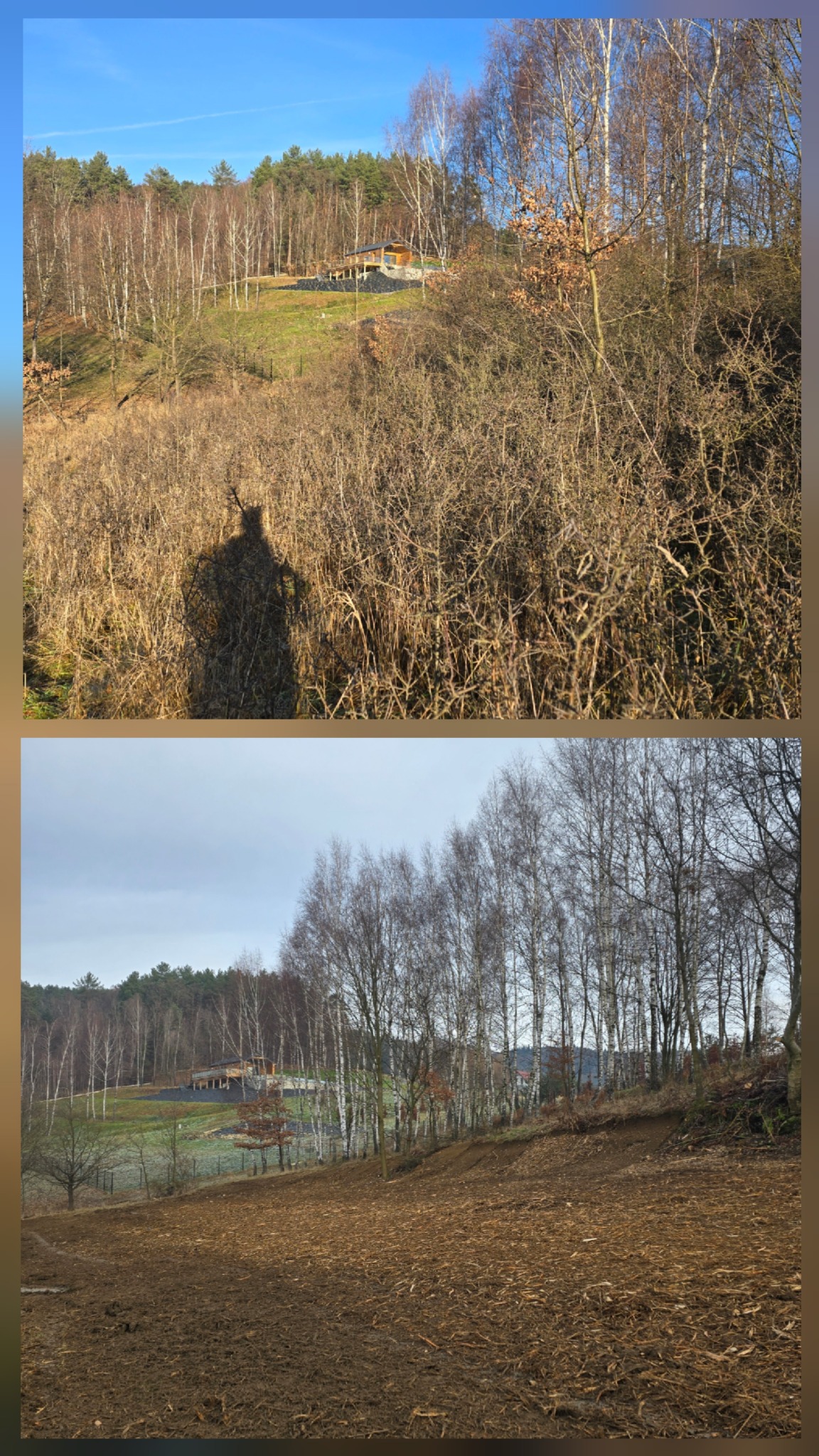 Dwa ujęcia terenu: górne zarośnięte, z domem w tle i cieniem osoby; dolne z przygotowaną ziemią pod nasadzenia, z widocznymi drzewami i budynkiem w oddali.