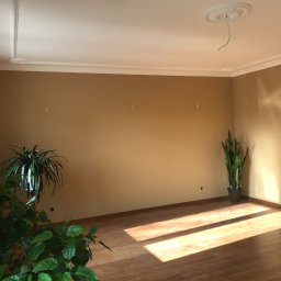 Krzysztof Dratwa - Beżowe ściany w pustym pokoju z drewnianą podłogą, dekoracyjnym sufitem i roślinami doniczkowymi. Widoczne ślady po zdjęciach na ścianie i wystający kabel.