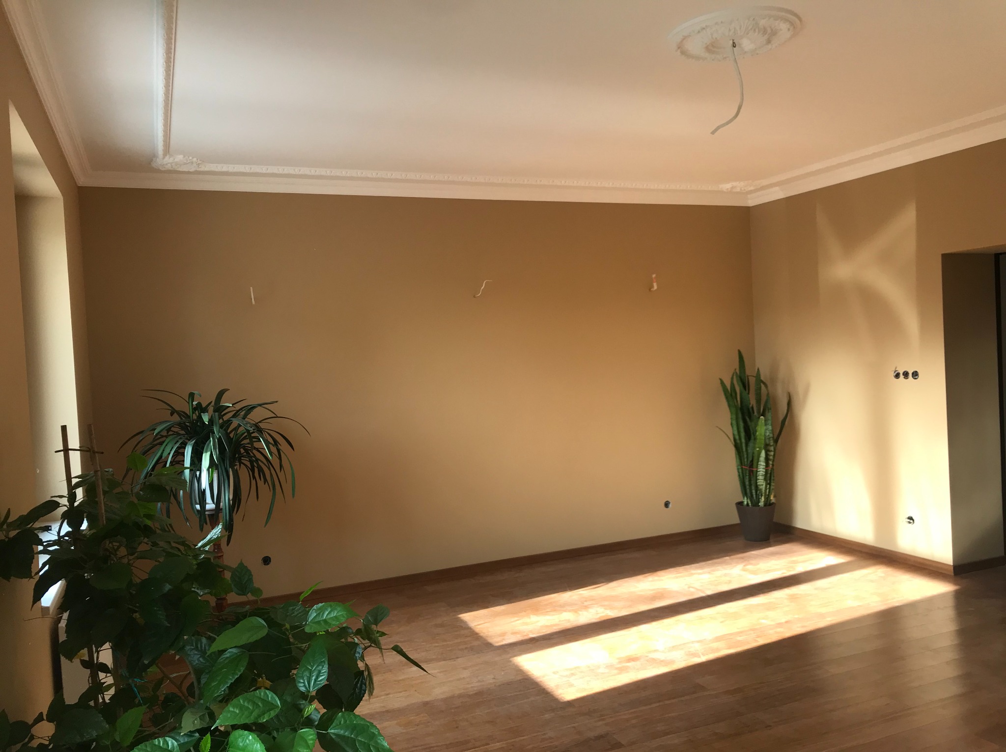 Beżowe ściany w pustym pokoju z drewnianą podłogą, dekoracyjnym sufitem i roślinami doniczkowymi. Widoczne ślady po zdjęciach na ścianie i wystający kabel.
