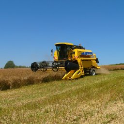 Biegli i rzeczoznawcy Rzeszów 2