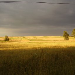 Biegli i rzeczoznawcy Rzeszów 4