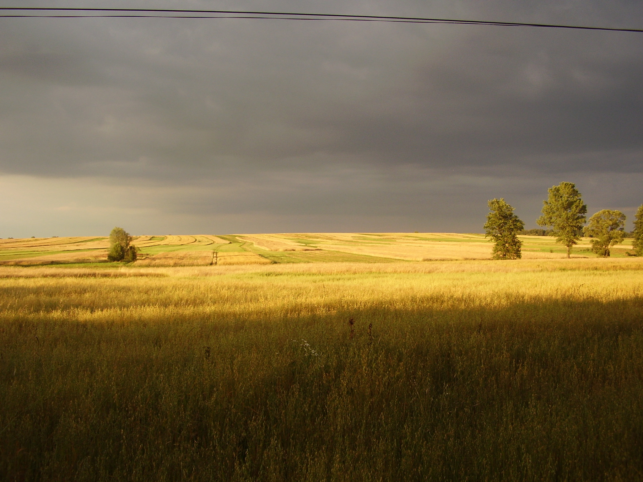 Pejzaż polski: złote pole pod burzowym niebem, z linią drzew na horyzoncie i słupami energetycznymi w tle. Kontrast światła i cienia podkreśla dramatyzm sceny.
