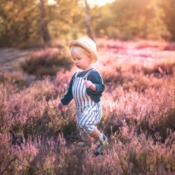 Dagmara Pużyńska Fotografia - Mały chłopiec w słomkowym kapeluszu i ogrodniczkach spaceruje po wrzosowisku w promieniach zachodzącego słońca. Ujęcie z niskiej perspektywy, miękkie światło.