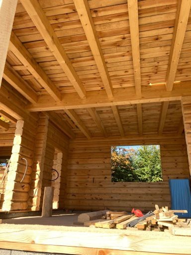 Wnętrze drewnianego domu w trakcie budowy, widoczne belki stropowe i ściany z bali, okno z widokiem na drzewa. Elementy konstrukcyjne w ciepłym odcieniu drewna.