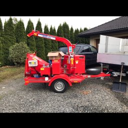 Wycinka drzew Pisarzowice 4