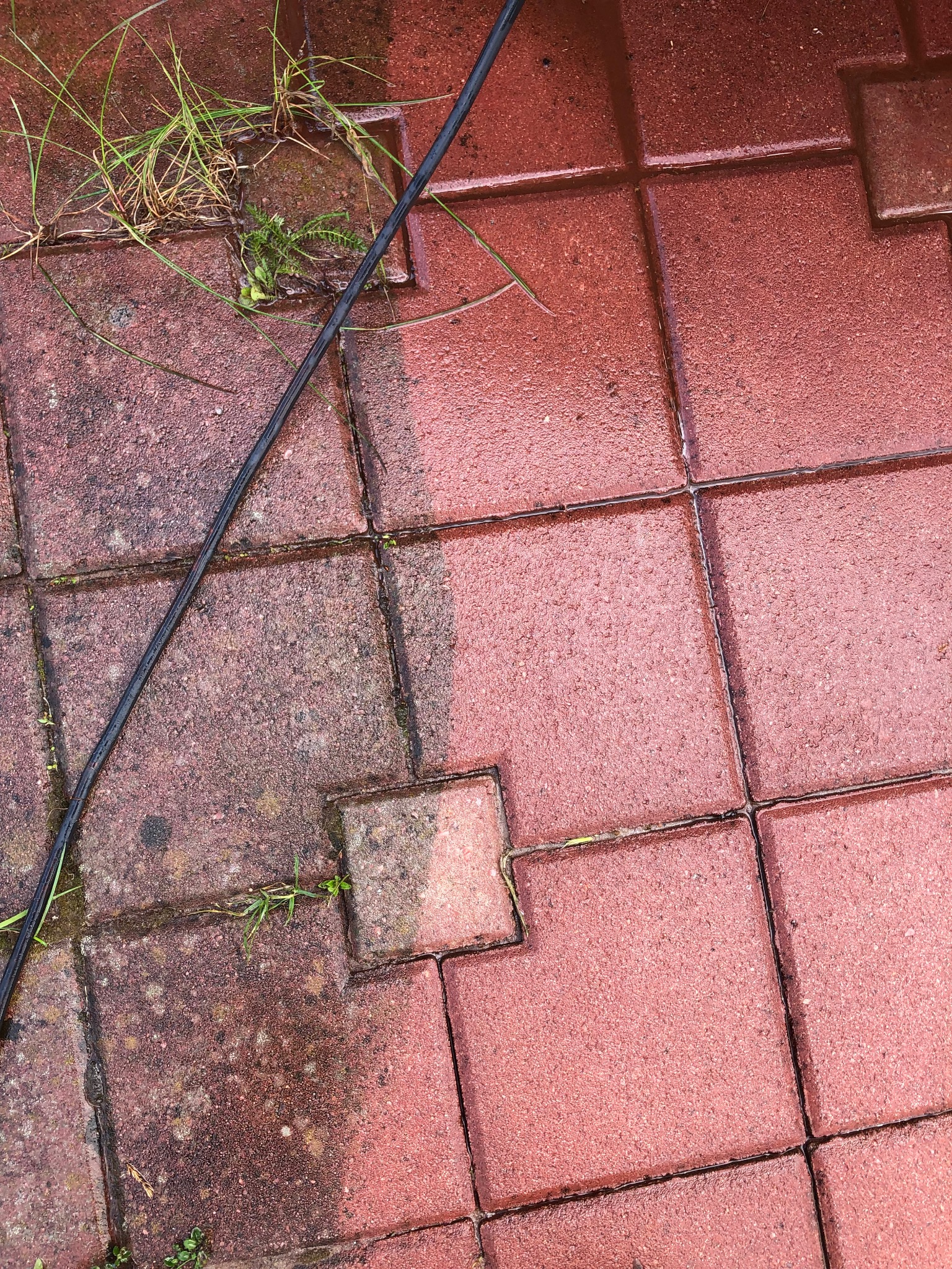 Częściowo umyta, czerwona kostka brukowa z widocznymi zabrudzeniami i porastającą trawą w spoinach. Na kostce leży czarny kabel. Widoczny efekt czyszczenia.