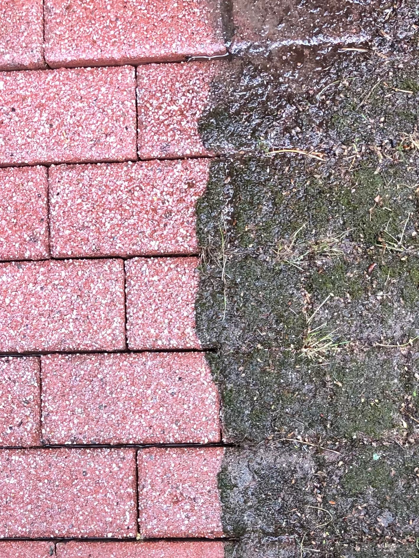 Częściowo umyta, czerwona kostka brukowa, kontrastująca z brudną, porośniętą mchem powierzchnią. Widoczna różnica w kolorze i strukturze po czyszczeniu.