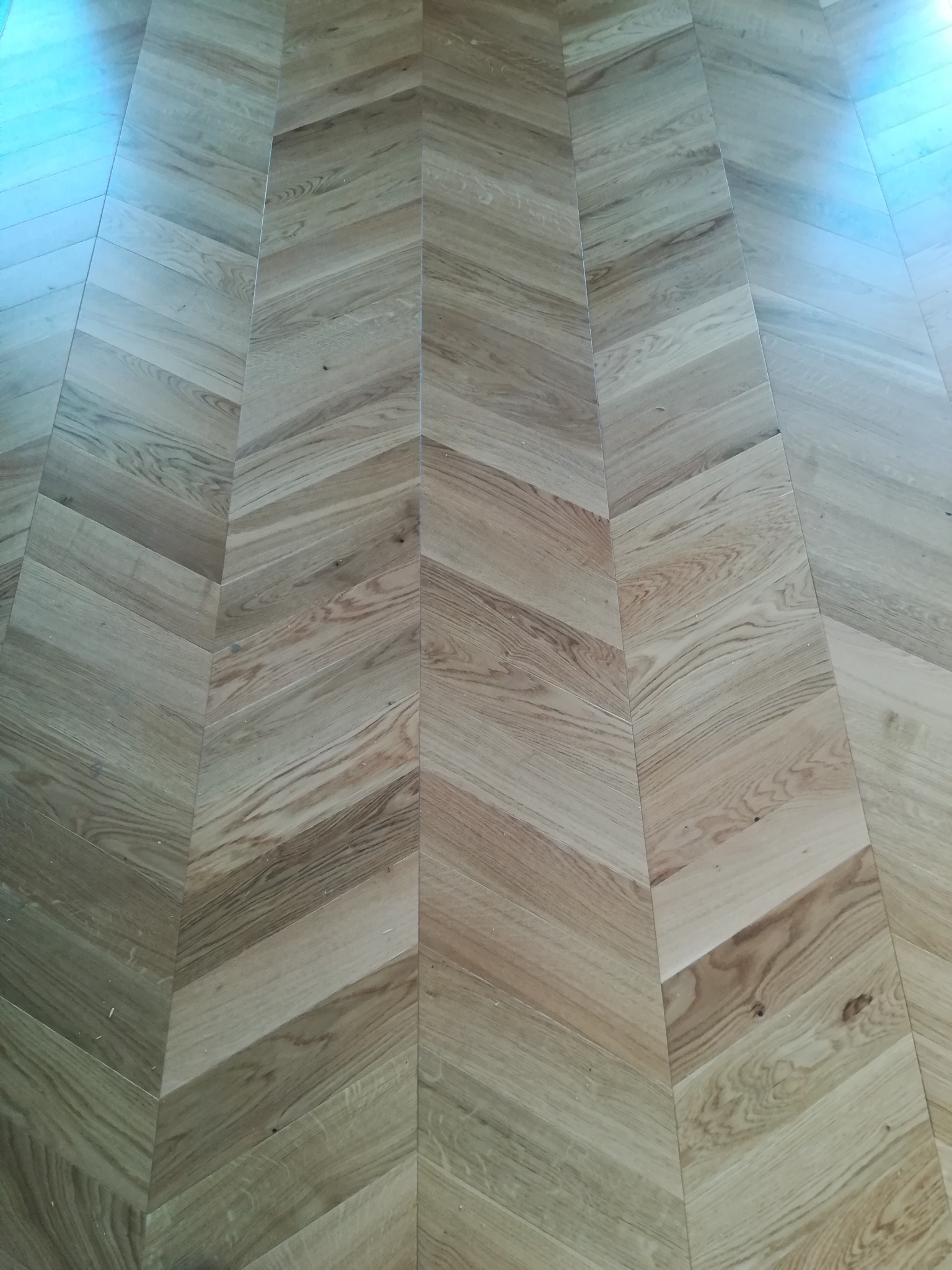 Jasny parkiet ułożony we wzór jodełki francuskiej, z widoczną strukturą drewna i delikatnym połyskiem, oświetlony naturalnym światłem z góry.