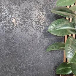 DEKOFAKTURA ADAM ŁABĘCKI - Czarna ściana z dekoracyjnym tynkiem strukturalnym, częściowo zasłonięta przez zieloną roślinę doniczkową i drewniane lamele. Nowoczesne wykończenie wnętrz.