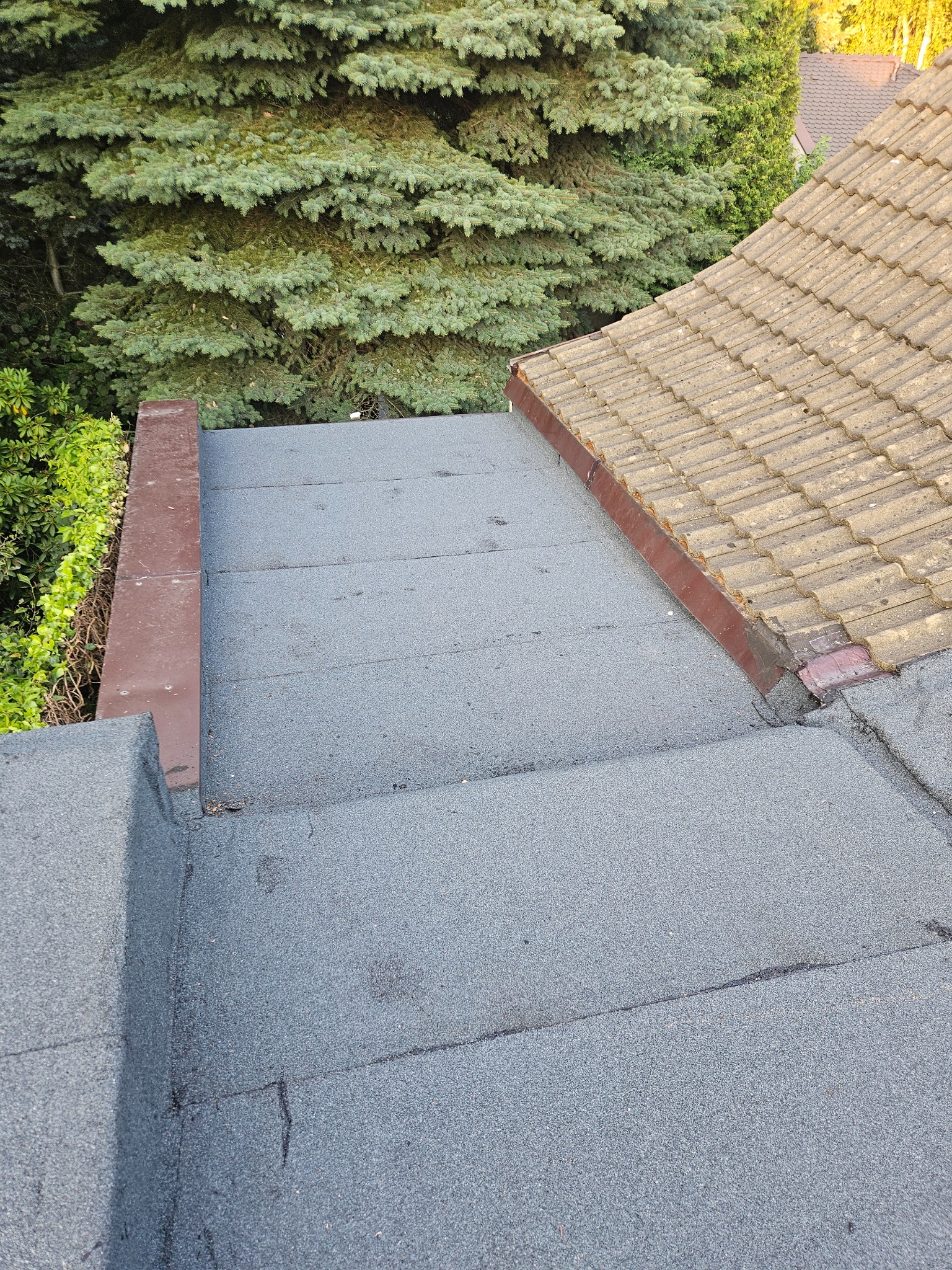 Widok z góry na fragment dachu pokrytego papą, z widocznymi łączeniami i obróbkami blacharskimi. W tle zieleń drzew i fragment dachu z dachówki.