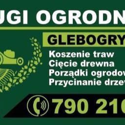 Wycinka drzew Baboszewo 1