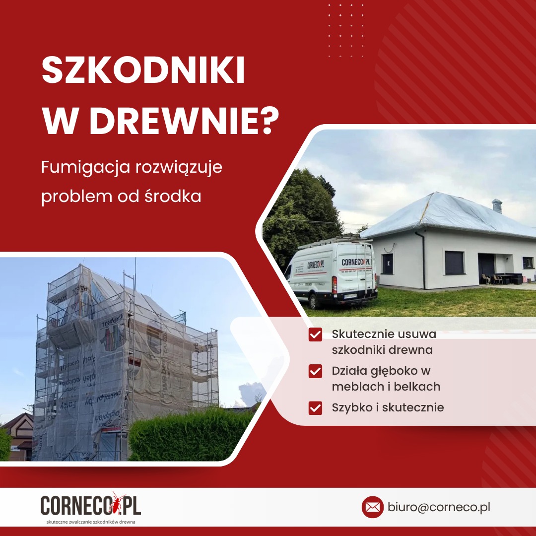 Grafika reklamowa: budynek w rusztowaniach pod plandekami, obok biały dom i bus Corneco.pl. Tekst: Szkodniki w drewnie? Fumigacja rozwiązuje problem od środka.