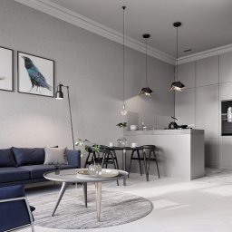 Projekt wnętrz mieszkania w Kamienicy, Szczecin