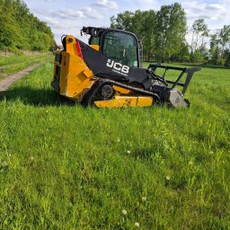 Wycinka drzew Łowicz 3