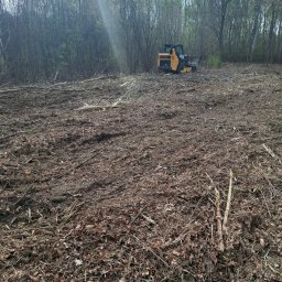 Wycinka drzew Łowicz 2