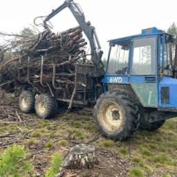 Wycinka drzew Łowicz 1