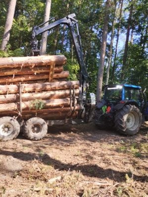 Ciężarówka z dźwigiem załadowana ściętymi pniami drzew w lesie, gotowa do transportu. Widoczny traktor i teren po wycince.