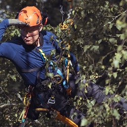 ProArbo.pl - Łukasz Ciemuchowski - 