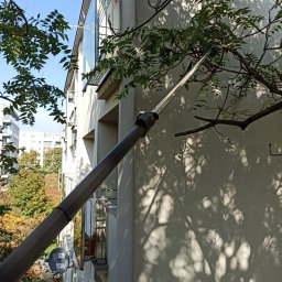 ProArbo.pl - Łukasz Ciemuchowski - 