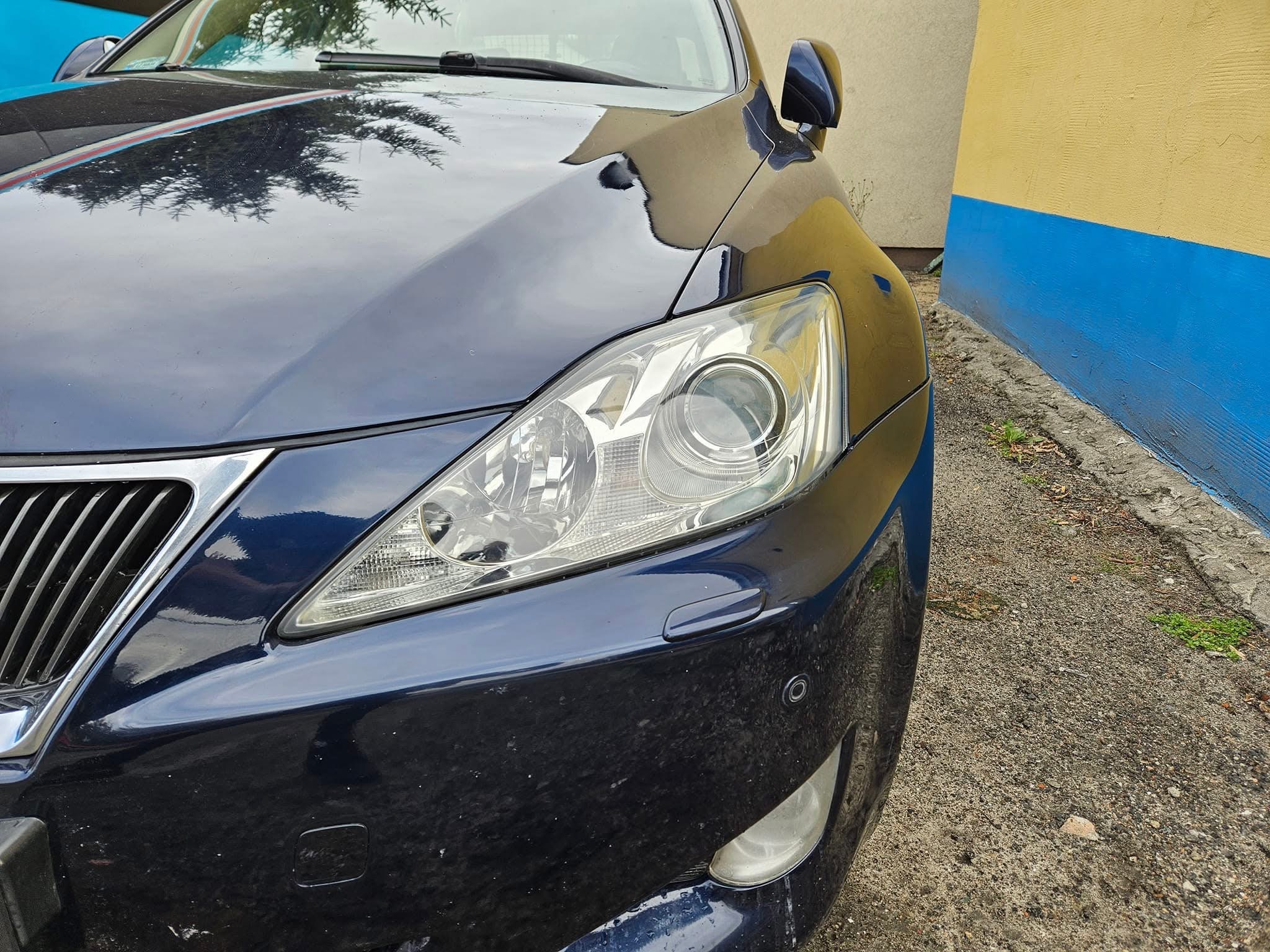 Błyszczący, granatowy Lexus IS z widocznym reflektorem i fragmentem grilla, zaparkowany obok ściany pomalowanej na żółto i niebiesko. Widoczne odbicia na karoserii.
