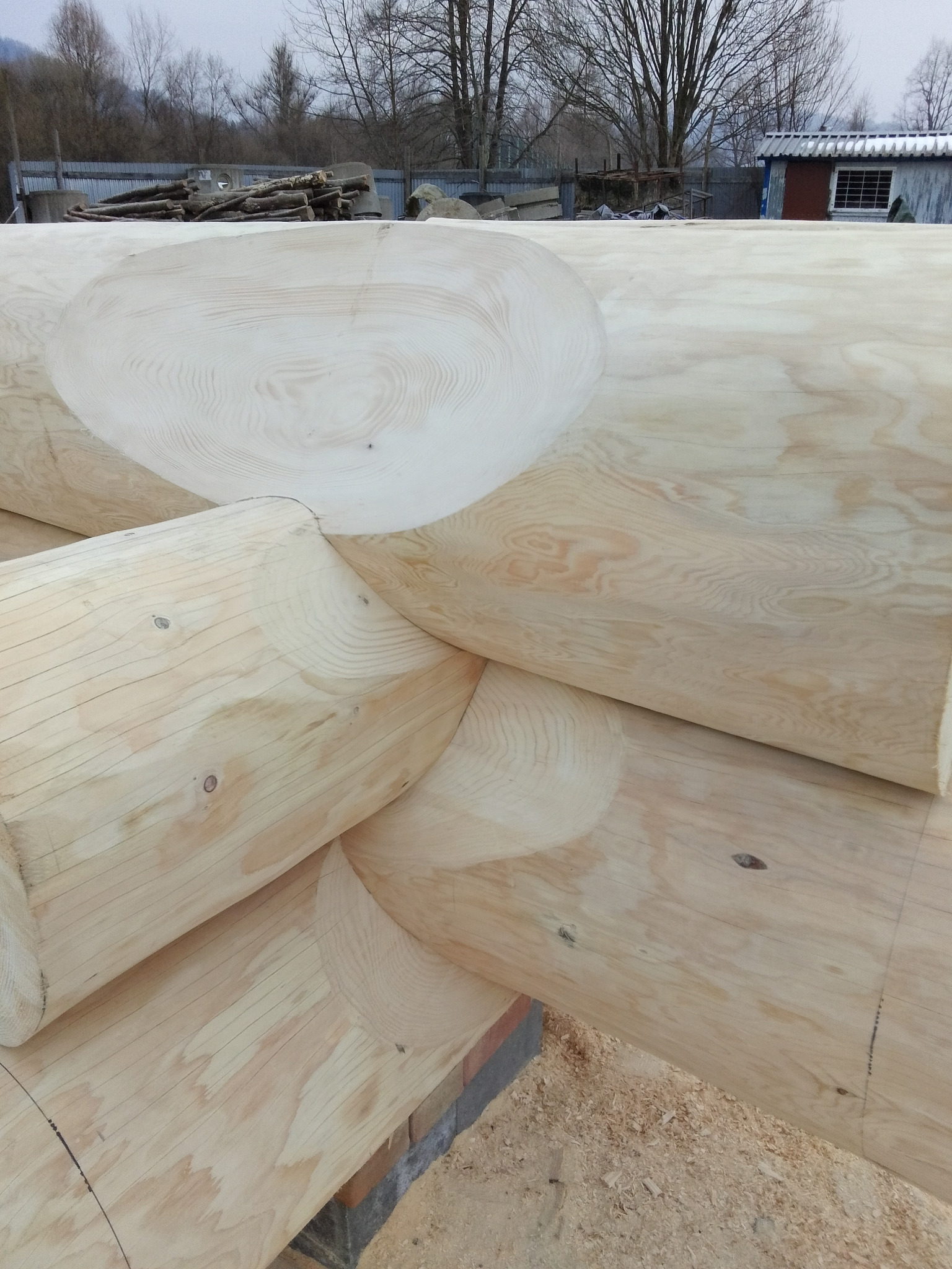 Fragment konstrukcji domu z bali, ukazujący precyzyjne połączenie drewnianych elementów. Widoczne detale obróbki drewna i dopasowania bali. Tło stanowią drzewa i budynek.