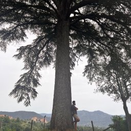 A&P PROJEKTY SPECJALNE - Usługi w ogrodzie Nowy Dw&oacute;r Mazowiecki