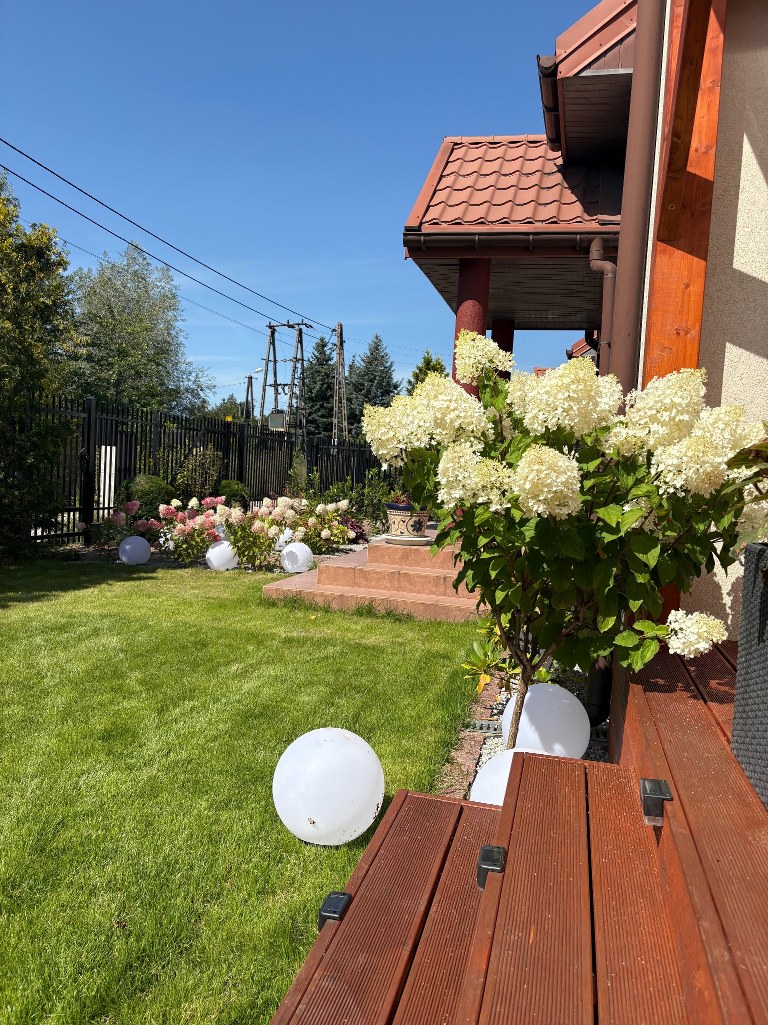 Ogród z trawnikiem, rabatami kwiatowymi i kulistymi lampami. Hortensja bukietowa przy tarasie. Dom z czerwoną dachówką w tle, słoneczny dzień.