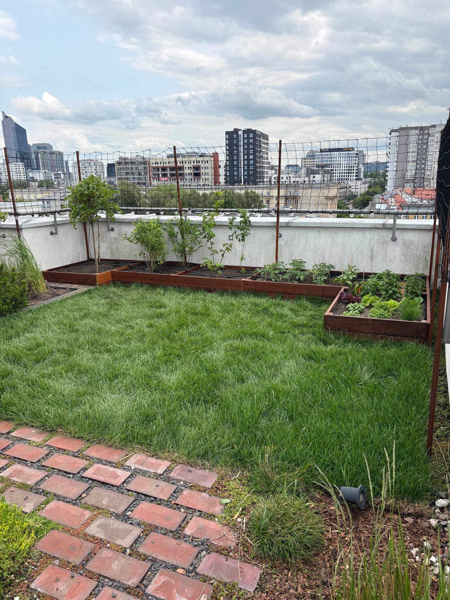 Ogród na dachu z trawnikiem, drewnianymi rabatami i widokiem na miasto. Czerwona ceglana ścieżka prowadzi przez zieleń. Elementy oświetlenia ogrodowego.