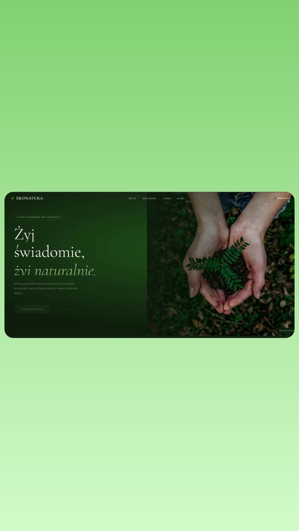 Zielona strona internetowa Ekonatura z hasłem 'Żyj świadomie, żyj naturalnie' w Haczowie. Dłonie trzymają sadzonkę, symbolizując ekologiczny charakter sklepu.