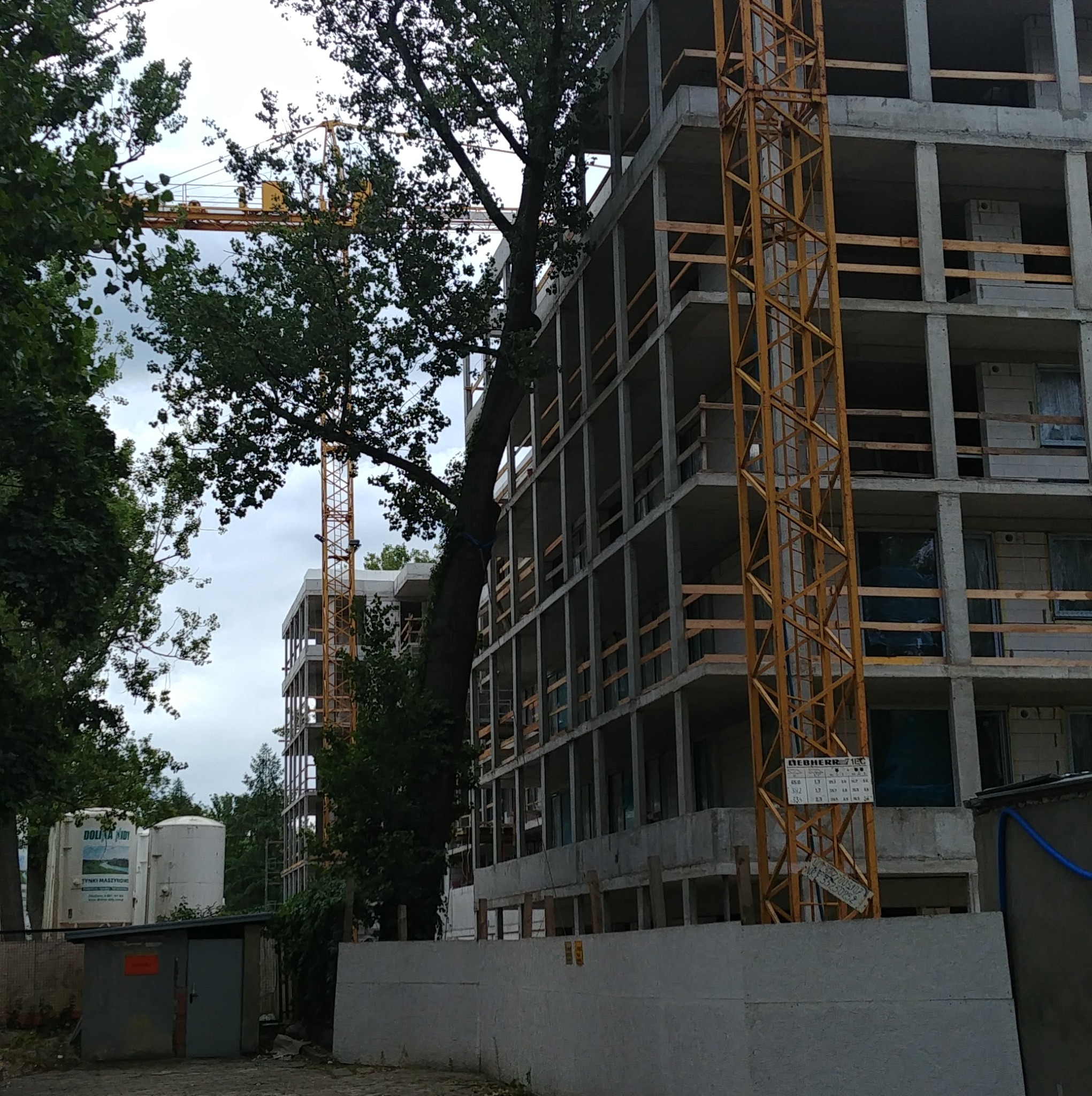 Surowy budynek żelbetowy w trakcie budowy, z widocznym żurawiem i drzewem w kadrze. Konstrukcja w stanie nieukończonym, otoczona zielenią.