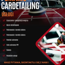 P2 MARIO CAR DETALING - Sprzątanie Po Wynajmie Kalisz