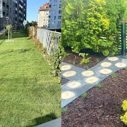 Wycinka drzew Bystrzyca Stara 4