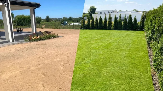 Zdjęcie 'przed i po' ukazujące transformację terenu: z piaskowej powierzchni w zielony trawnik z tujami, obok domu z tarasem i rabatą kwiatową.