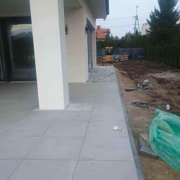 Wycinka drzew Płock 3