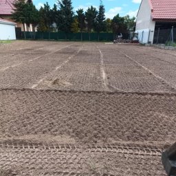 Wycinka drzew Płock 4