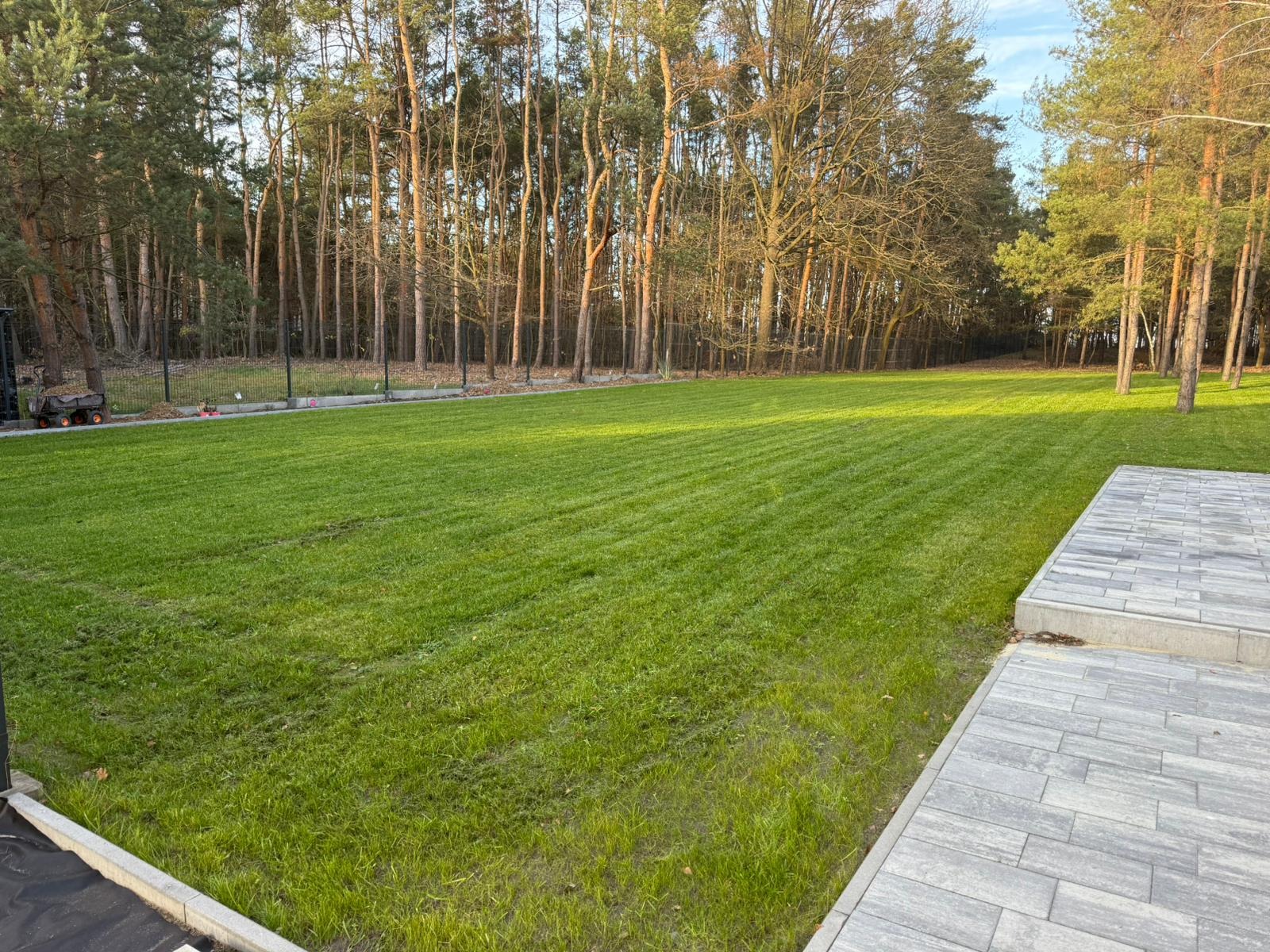 Równomiernie skoszony trawnik z widocznymi pasami, otoczony drzewami i fragmentem szarej kostki brukowej. W tle widoczny wózek ogrodowy.